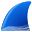 Wireshark Favicon